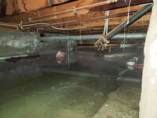 Best Flooded house restoration  in Kiawah Island, SC